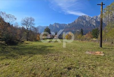 Teren Construcții intravilan de 1117 mp, în Gării - 1