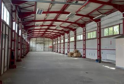 Inchiriere spatiu depozitare si birouri, Biruintei - Selgros - 3