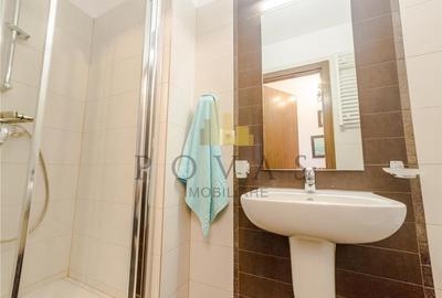 Inchiriere Apartament 3 Camere Erou Iancu Nicolae - 15