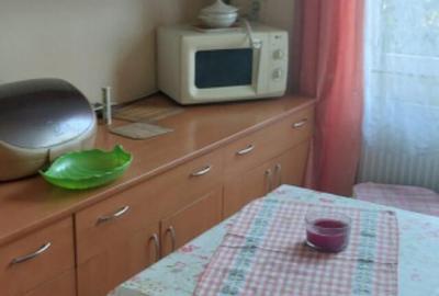 Casa unifamiliala de vanzare zona linistita Sighet - 1