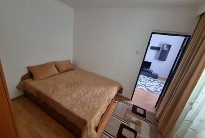 Apartament cu 2 camere semidecomandat în Banat - 5