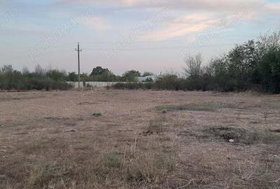 Teren intravilan de inchiriat comuna 1 Decembrie, jud Ilfov - 5