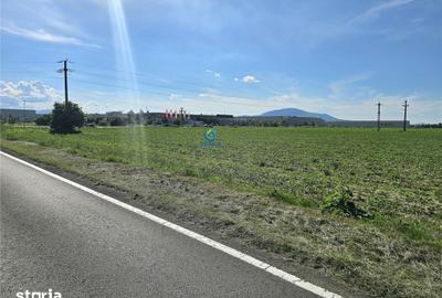 Teren de 18000 mp, în Central - 5