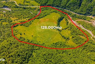 Spațiu comercial, în Gârcini - 7