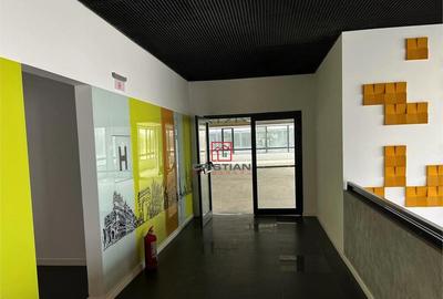 Birouri Grozavesti - Crangasi, Bucuresti - 10