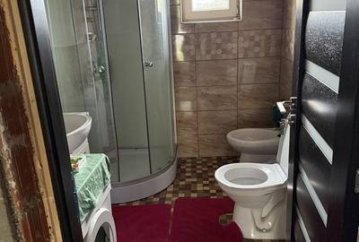 Casă cu 3 camere în Livada de Bihor - 6