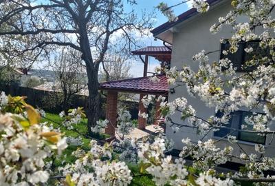 Casă individuală cu 4 camere cu Teren 1000 Mp în Bucium - 2