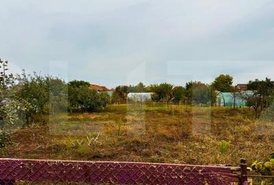 Casa de vanzare in Macea, teren 942 mp - 4