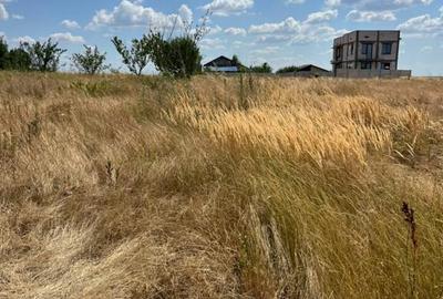 Teren de 3800 mp, în Nord - 2