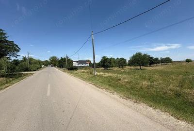 Teren de 10000 mp, în Brănești - 2