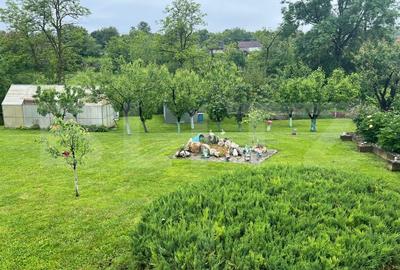 Casa de lemn cu teren generos – 1500 mp in Cerghid, liniste si natura - 3