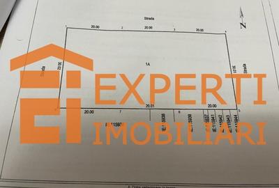 Teren Mamaia Nord 1800mp Teren Mamaia Nord 1800mp - 4