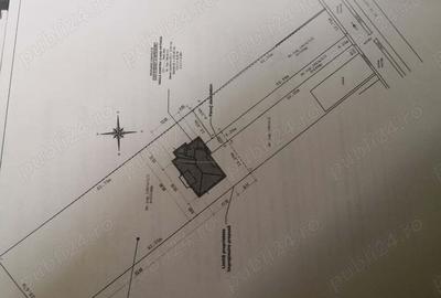 Casă cu 4 camere cu Teren 2700 Mp în Peciu Nou - 4