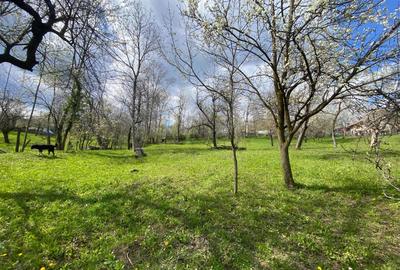 Spațiu comercial, în Pietriceaua - 2