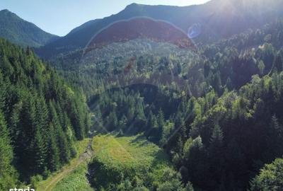 Spațiu comercial, în Central - 8