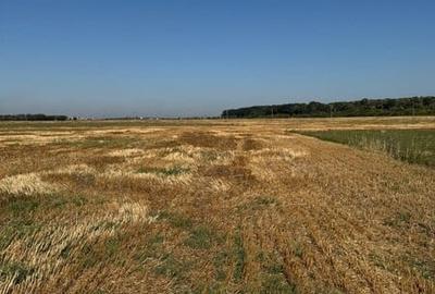 Vanzare Teren Rezidential Pantelimon  5000mp - 7