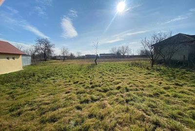 Casă cu Teren 3300 Mp în Central - 5