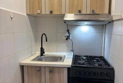 Apartament cu 2 camere nedecomandat, mobilat în Tătărași - 4