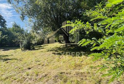 TEREN INTRAVILAN 3234 MP LERE?TI VOINE?TI ARGE? - 5