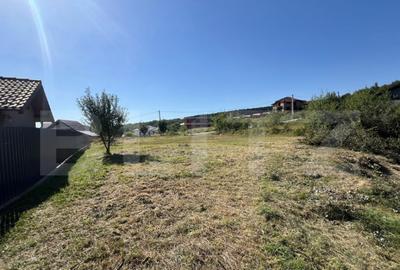 Teren de vanzare 925 mp, zona Valea Jelnei - 6