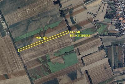 Teren de 54087 mp, în Salcia - 3