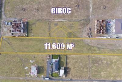 Teren arabil intravilan pentru PUZ 11.600mp | Giroc - 3