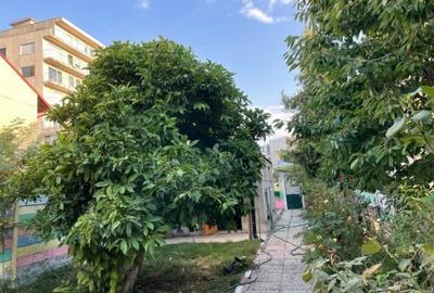 Teren + Casa batraneasca - zona Calea Calarasilor - 3