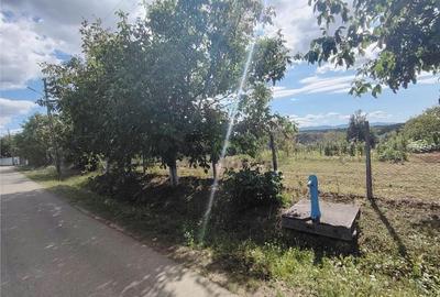 Teren de 2400 mp, în Săliște - 3