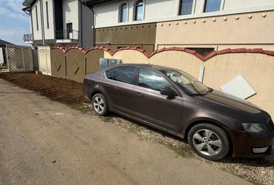 Duplex cu 5 camere cu Teren 250 Mp în Berceni