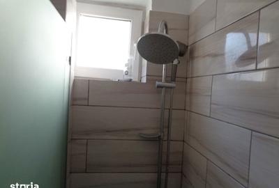 Apartament cu 2 camere în Șega - 13