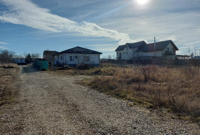 Loc pentru casa cu utilitati la 500m de padure, Ciofliceni - Snagov! Loc pentru casa cu utilitati la 500m de padure, Ciofliceni - Snagov! - 5