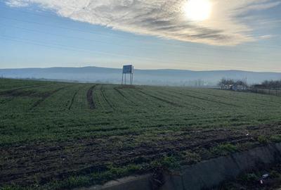 Teren 19201 mp- Valea Satului, com. Grajduri, jud. Iasi - 3