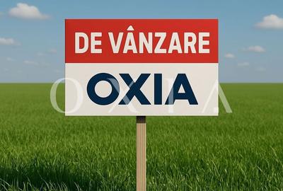 Spațiu comercial, în Dumbrăvița