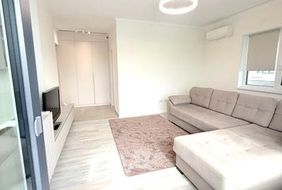 Apartament cu 2 camere decomandat, mobilat în Podu Roș - 10