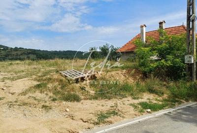 Teren intravilan de vanzare in Saliste - 8