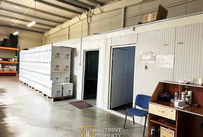 Spațiu comercial, de 440 mp, în Micălaca - 6