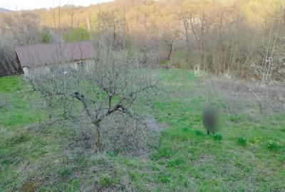 Casă cu 3 camere cu Teren 5200 Mp în Schela - 9