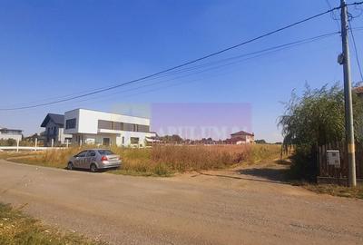 Teren de 4715 mp, în Brănești - 13