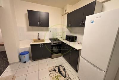 Apartament cu 2 camere decomandat, mobilat în Brazda lui Novac - 5