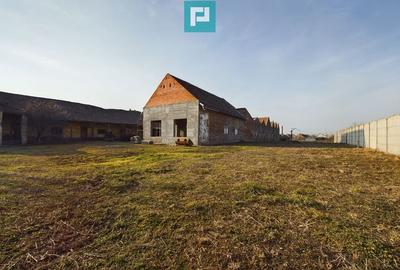 Teren ?i hale pe Calea Aradului din Periam - 15