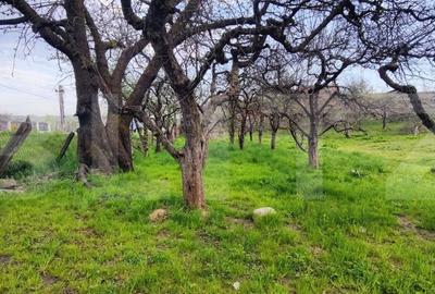 Spațiu comercial, în Gemenea-Brătulești - 13