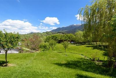 Pensiune:3 km de Castelul Bran,2.900mp teren,piscina,ciubar,teren sport,aviz ISU - 12