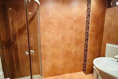 Casa individuala, gradina, Dorobanti, metrou Piata Romana Casa individuala, gradina, Dorobanti, metrou Piata Romana - 29