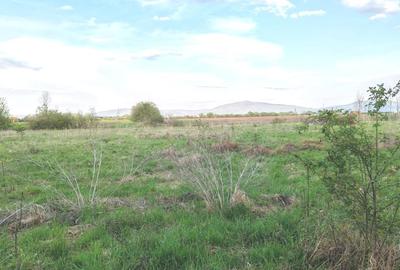 Teren ideal pentru casa de vacanta sau locuinta permanenta, la marginea padurii - 6