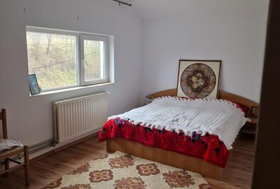 Vila P+E si teren intravilan 1,5Ha,cu zavoi+iaz,lac peste si livada-investitie - 10