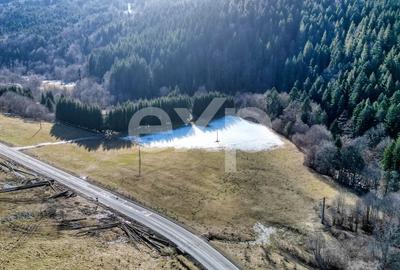 Teren Construcții de 19200 mp, în Brădet - 9