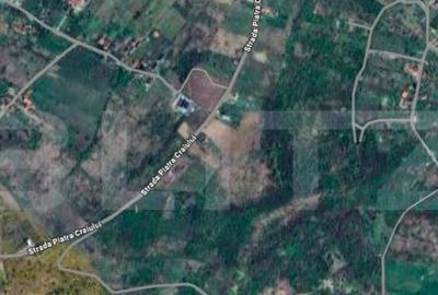 Teren Penoramic de 2700mp, Podgoria - 1