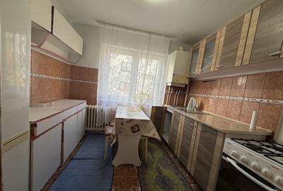 De vanzare Apartament Piata Rodului/Satu Mare - 9