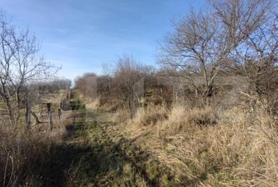 Teren extravilan,(livada pomi) 1,50 ha zona Subcetate - 12