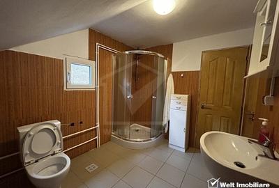 Oportunitate unica! 5ha + 2 cabane de vacanta in Valea Ierii - 19